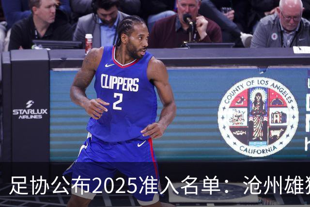 足协公布2025准入名单：沧州雄狮、广州队无缘